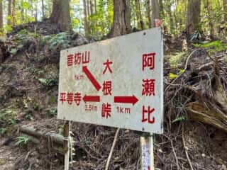 四国八十八ヶ所霊場 第21番札所 太龍寺〜第22番札所 平等寺