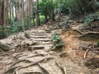 筑波山登山道