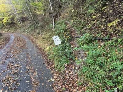 土佐矢筈山・小桧曽山