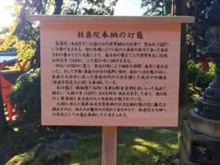 春日大社の桂昌院奉納の灯篭