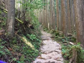 山上ヶ岳（大峯山）登山道