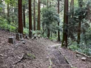 御嶽山 山道