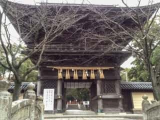 香椎宮