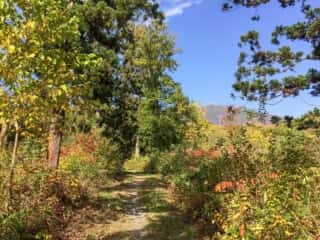 岩木山登山道