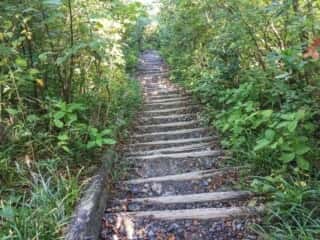 大山登山道