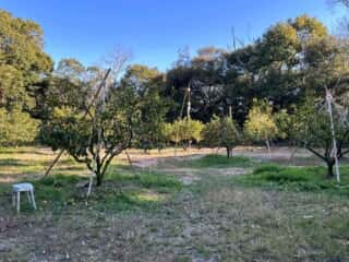 四国八十八ヶ所霊場 第25番札所 津照寺〜第26番札所 金剛頂寺