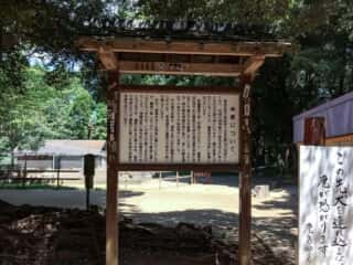 神鹿について