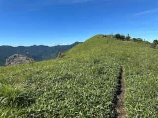 ササ原に覆われた塔丸への登山道