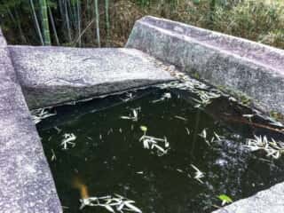 益田岩船のアングル化された上部
