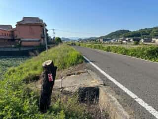 四国八十八ヶ所霊場 第79番札所 天皇寺〜第80番札所 国分寺