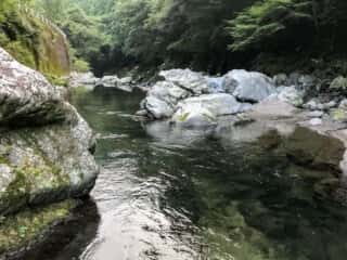 もみじ川