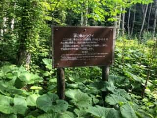 恐山 (大尽山) 登山道