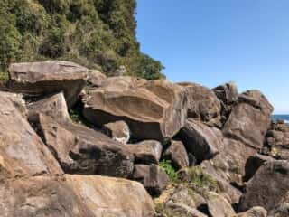 海岸の岩場