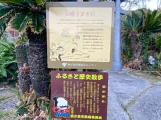 種子島 お種子まき石