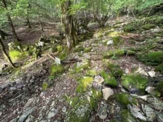 剣山登山2025年9月