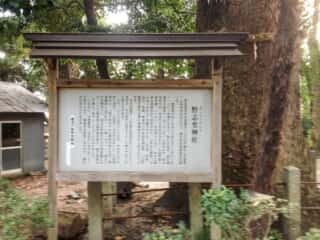 野志里神社 由緒 (桑名野代宮比定地)
