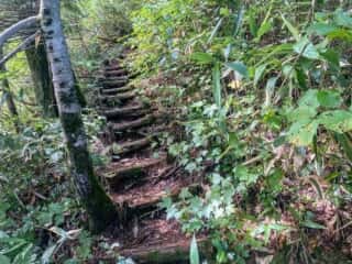 屏風岳・刈田岳 登山道