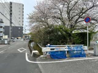 四国八十八ヶ所霊場 第51番札所 石手寺〜第52番札所 太山寺