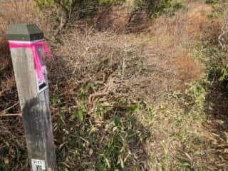 五葉山　黒岩への山道