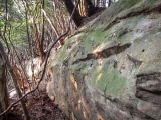 岩の博物館 竹ヶ島の巨石