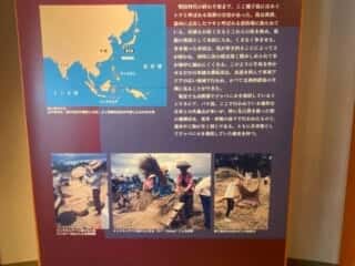 種子島 たねがしま赤米館