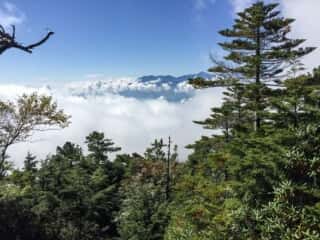 権現岳登山道