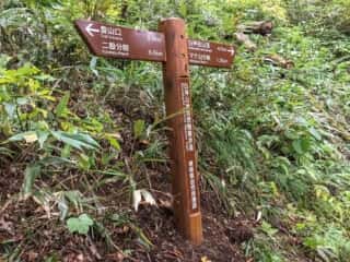 白神岳登山道