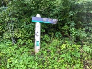 大山登山道