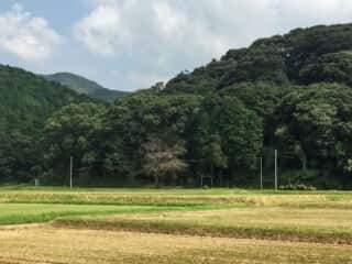 船木神社からの景色
