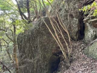 天岩戸立岩神社
