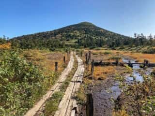 八甲田山 登山道