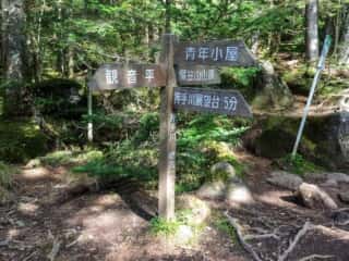 権現岳登山道