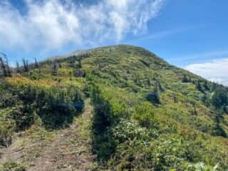 屏風岳・刈田岳 登山道