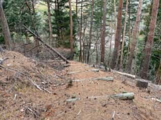 石投山 黒森山 登山道