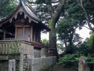 綿都美神社　境内