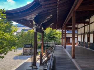 大覚寺　宸殿の廊下