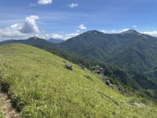 塔丸