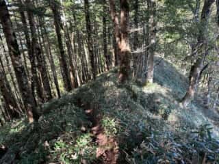矢筈山・石堂山