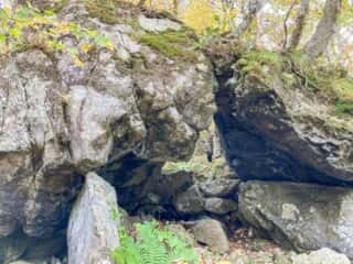 鶏頭山登山道