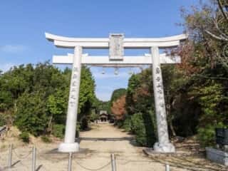 大和大国魂神社　鳥居