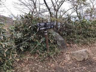 筑波山 登山道