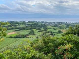 奄美大島 アマンディ