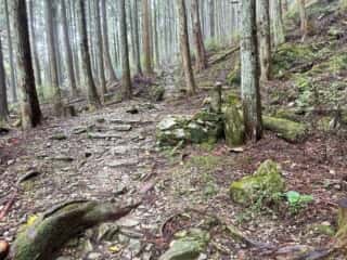四国八十八ヶ所霊場 第11番札所 藤井寺〜第12番札所 焼山寺