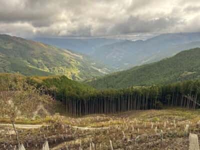 土佐矢筈山・小桧曽山
