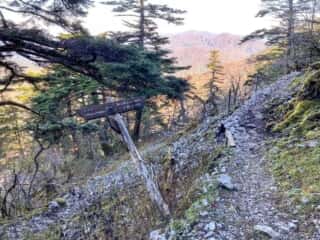 剣山 登山道