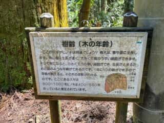 四国八十八ヶ所霊場 第44番札所 大寶寺