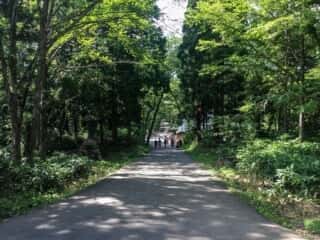 戸隠神社　参道