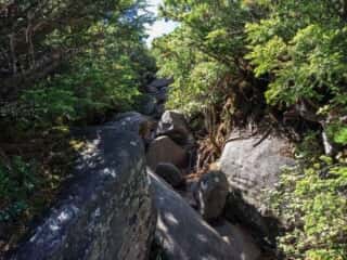 権現岳