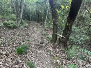 四国八十八ヶ所霊場 第84番札所 屋島寺〜第85番札所 八栗寺