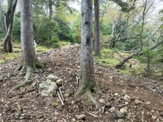 雌阿寒岳